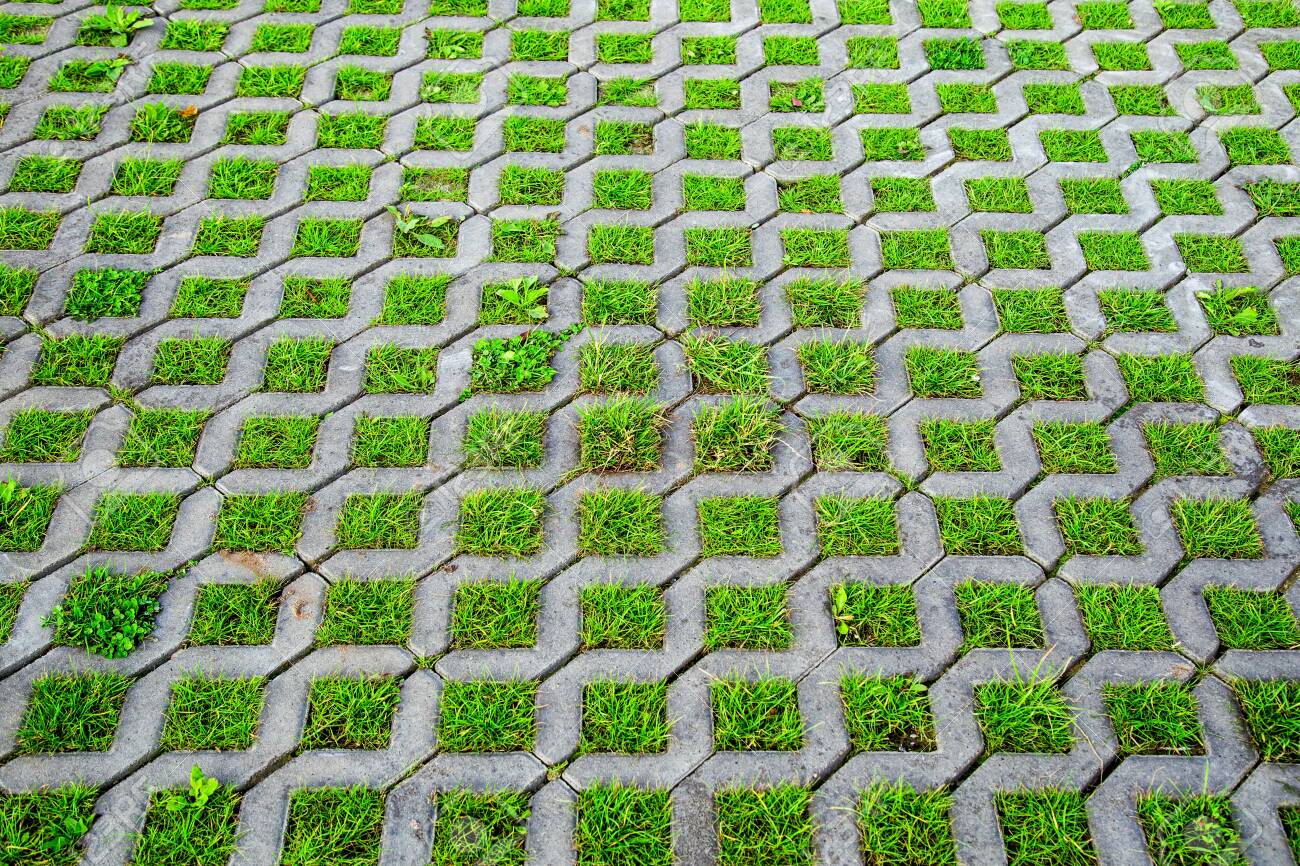 Bê tông trồng cỏ - Giải pháp cải thiện không gian xanh mát cho sân nhà