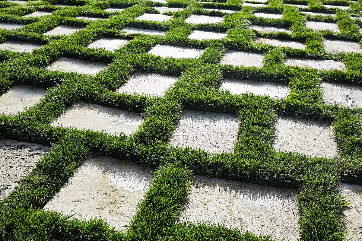 Giải pháp phủ xanh mặt sân nhà bằng bê tông trồng cỏ