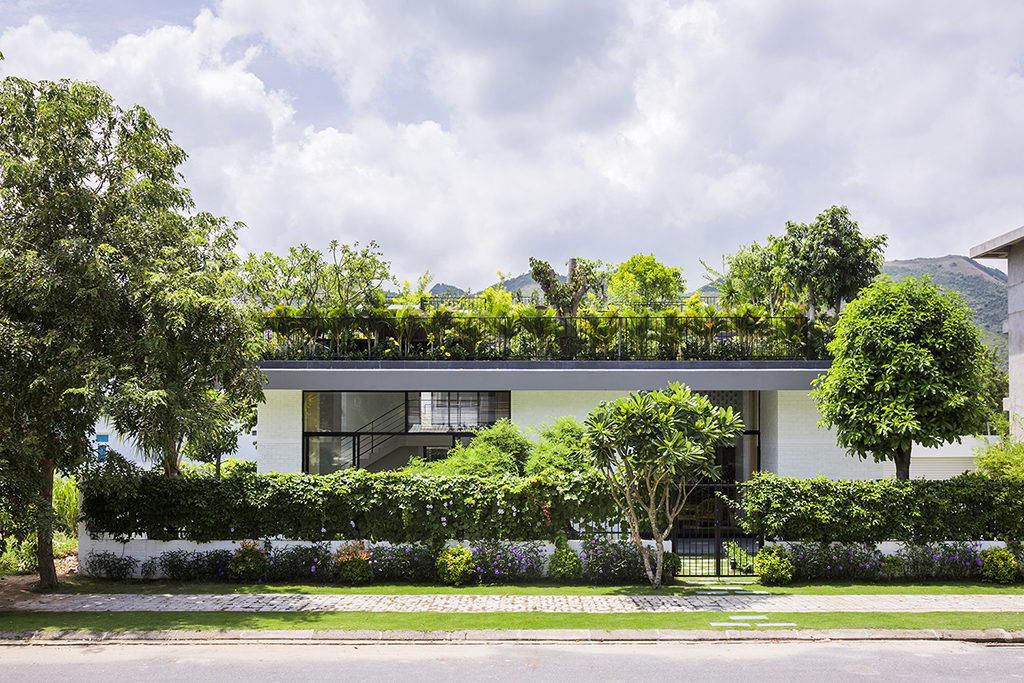 Phủ xanh mái nhà - Giải pháp chống bụi, nâng cao chất lượng không khí